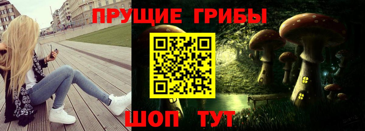 Галлюциногенные грибы MAGIC MUSHROOMS Губаха