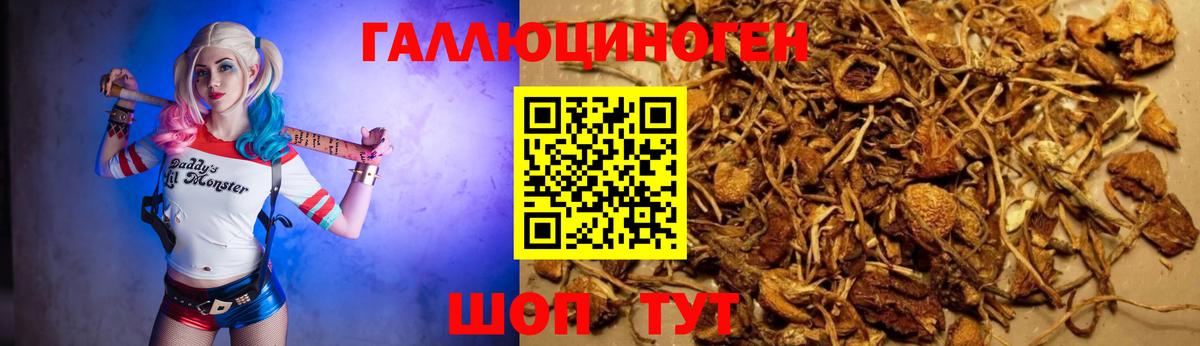 Псилоцибиновые грибы мухоморы  Галлюциногенные грибы Psilocybine cubensis  Губаха  Вход с VPN 